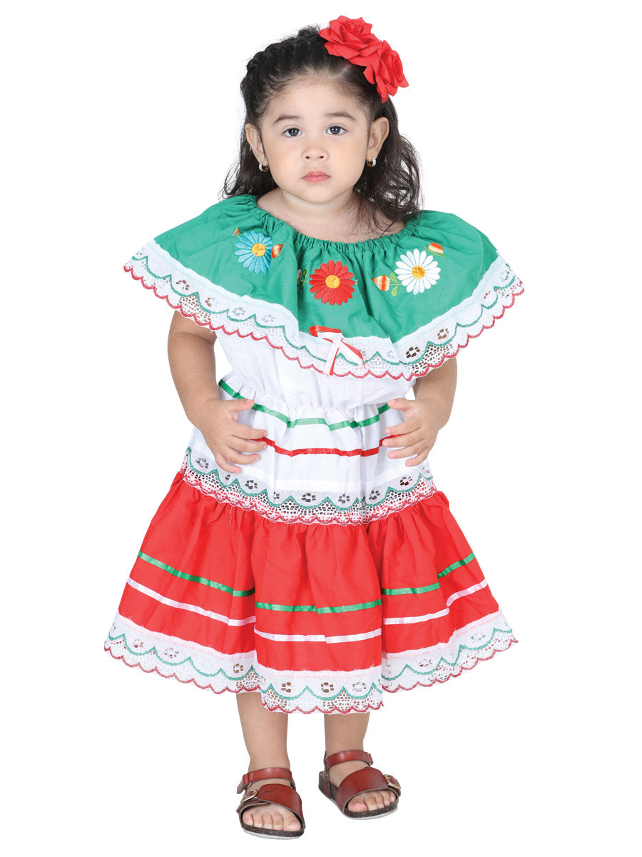 Artisanal Embroidered Dress Tricolor