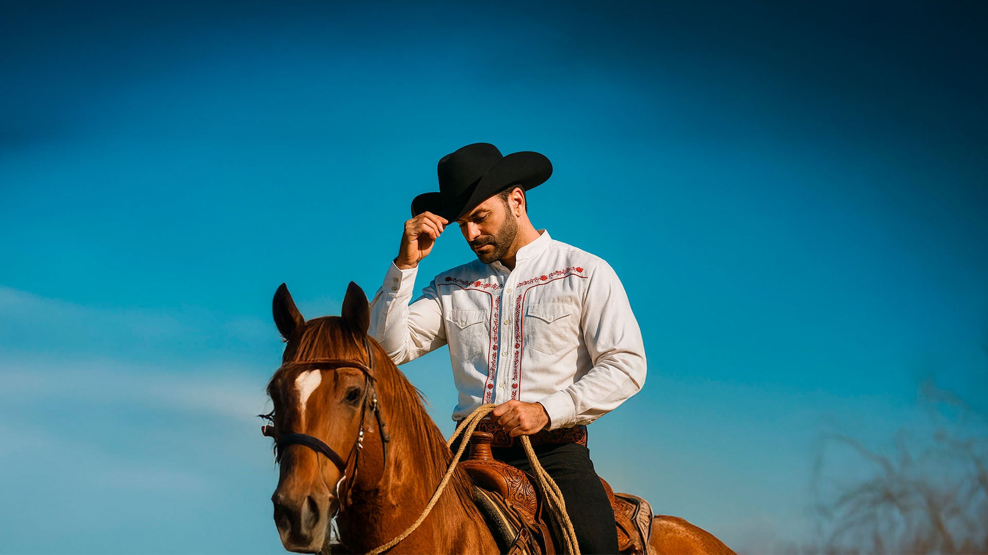 Men Horse Collection